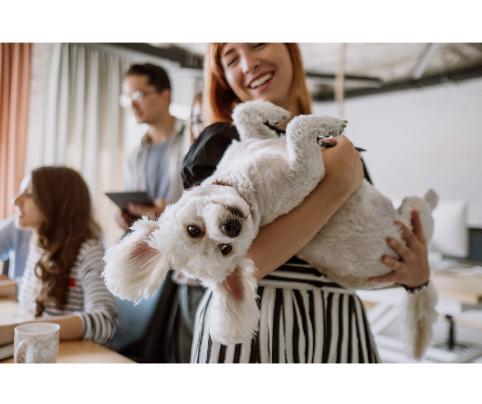 Easy planning example